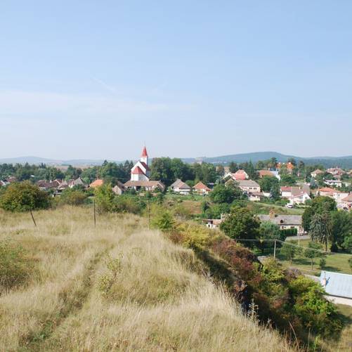 DSC 1617